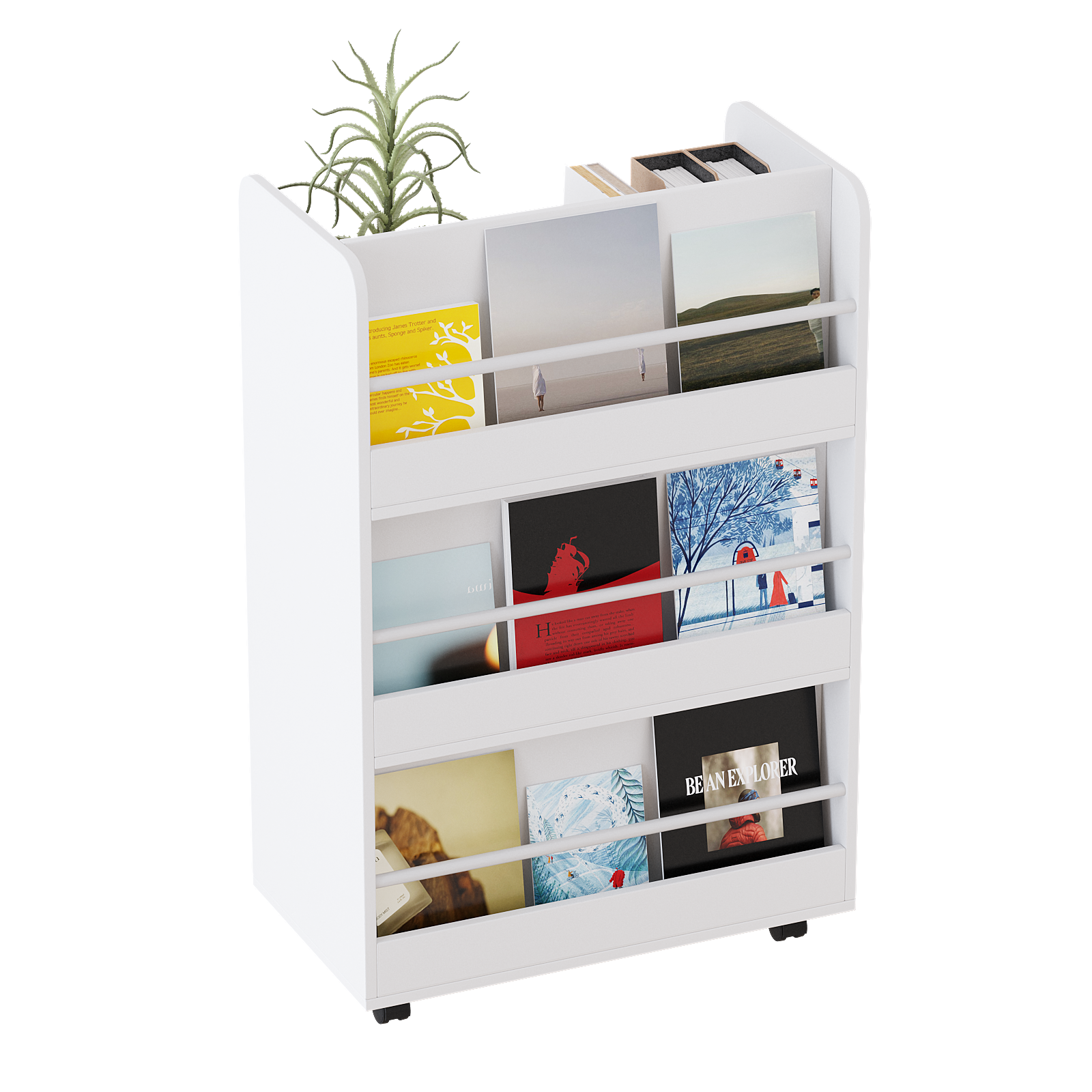 3 Shelf Bookshelf Magazine Rack-4187